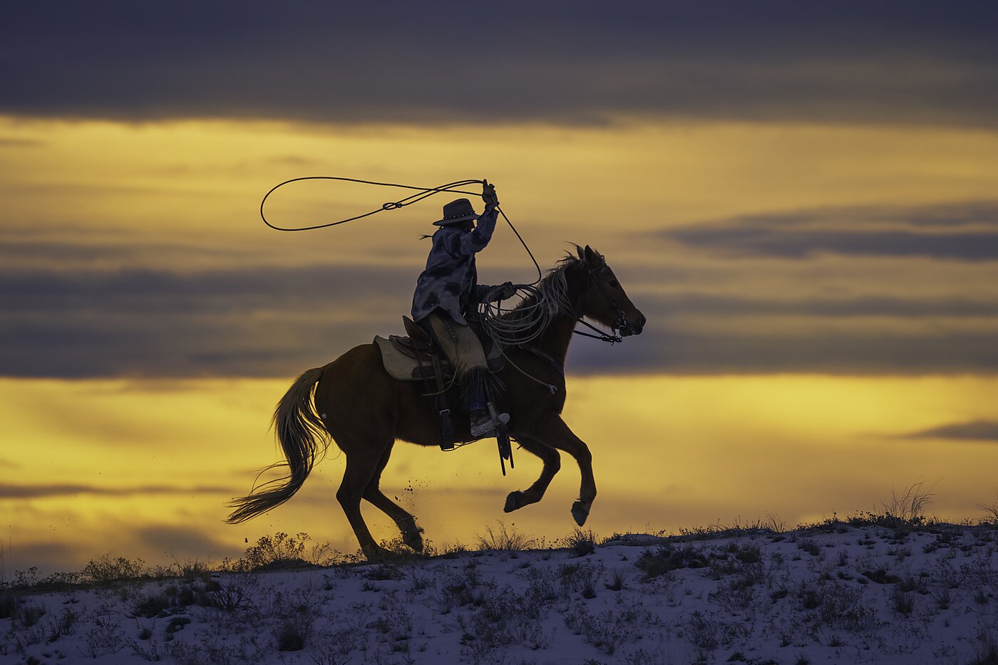 A horseman with a lasso