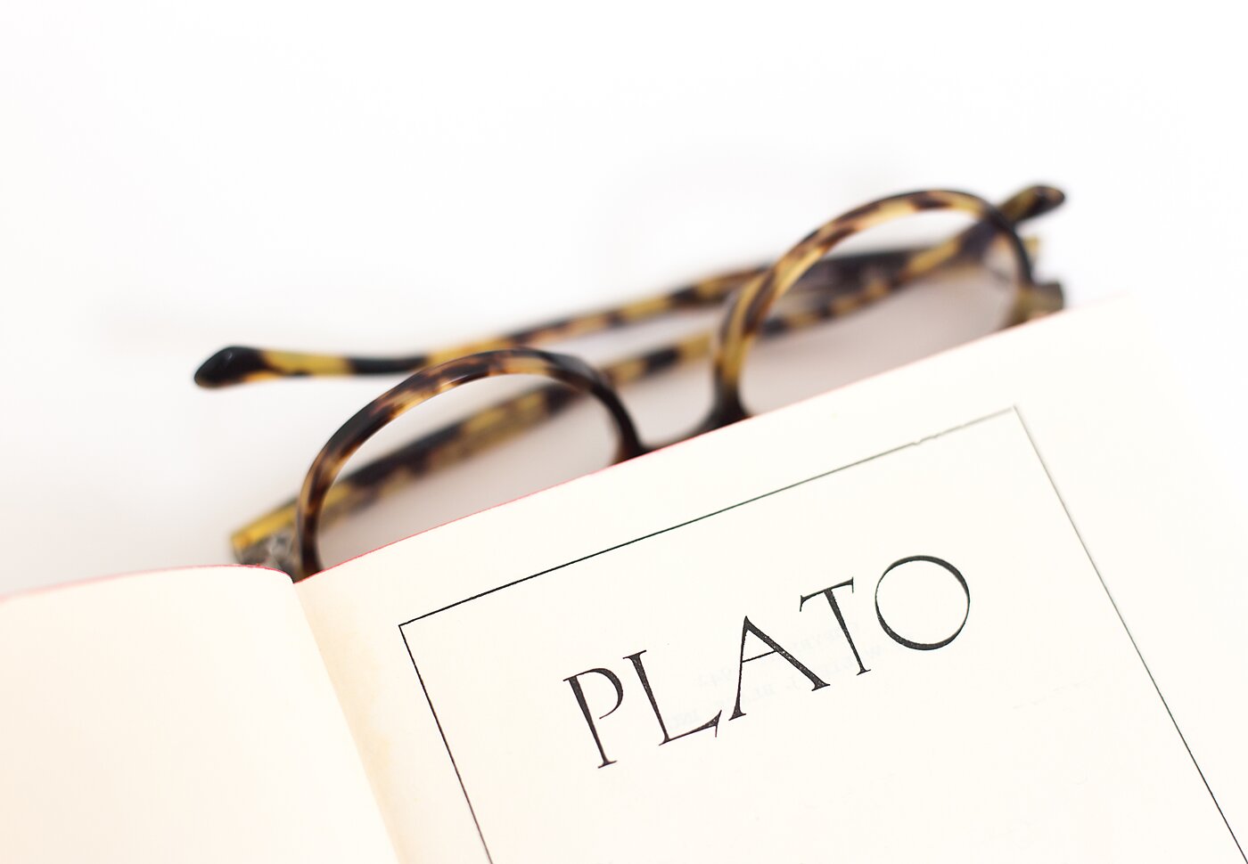 plato